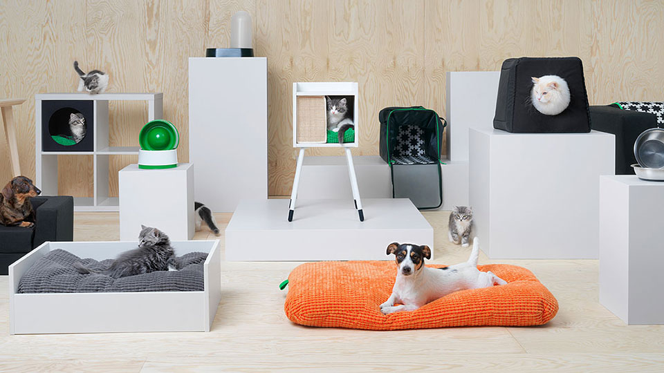 indoor accessories for pets