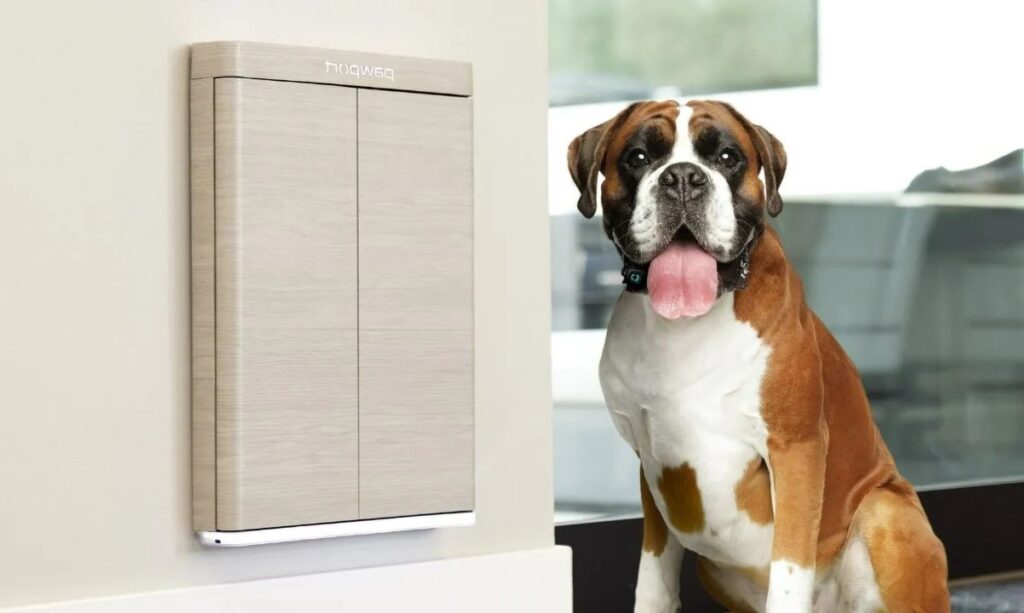 indoor doors and accesses for pets