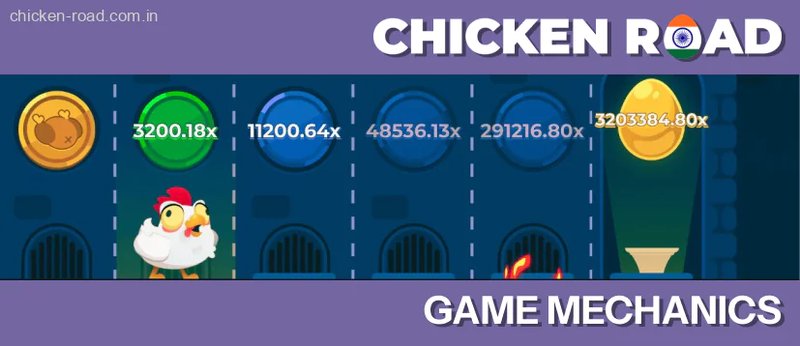 Overview of chicken road spel